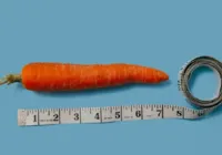 Tamanho do pênis foi fator evolutivo antes da invenção das roupas