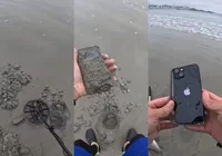 Jovem resgata iPhone intacto enterrado em praia e devolve à dona imagem