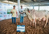 Leilões e animais de alta genética são estrelas da Fenagro 2025
