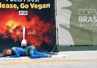 Luisa Mell pinta o corpo em protesto e critica cardápio na COP30: "Seja vegano”