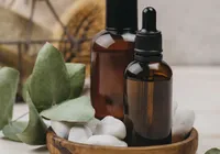Obesidade e insônia: como medicamentos fitoterápicos ajudam no tratamento imagem