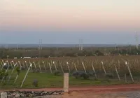 Vinícolas de altitude da Chapada revelam o segredo do 'terroir' e da dupla poda imagem