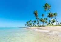 Praia do litoral do Nordeste é umas das mais preservadas do Brasil imagem