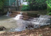 Fábrica de papel polui Rio Pitinga e compromete pesca e sustento local