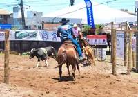 Fenagro inova com Ranch Sorting infantil e feminino na final baiana