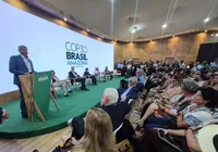 Revolução verde da Bahia: por que o estado é destaque na COP30 imagem