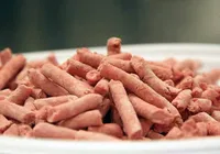 Salsicha em merenda escolar vira polêmica em cidade baiana imagem