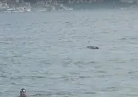 Vídeo: corpo aparece boiando em praia de Salvador