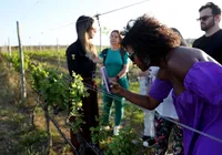 Visite Bahia: plataforma conecta turistas e empreendedores a famoso destino