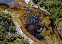 Em Areias, a poluição da Tronox mata, destrói famílias e causa câncer imagem