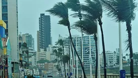Vendaval vai atingir 86 cidades da Bahia; saiba lugares afetados