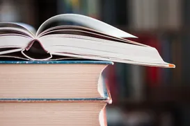 Biblioteca reabre após poesia no Carnaval - Imagem