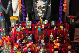 Casas baianas trocam santos por abóboras e viram palco de Halloween - Imagem