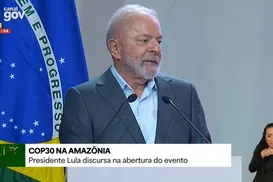 Lula defende que Amazônia deve ser vista para além da floresta - Imagem