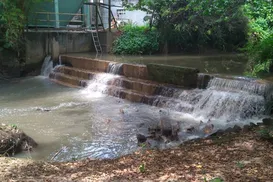 Fábrica de papel polui Rio Pitinga e compromete pesca e sustento local - Imagem