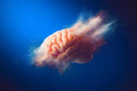 Repensando o Alzheimer - Imagem