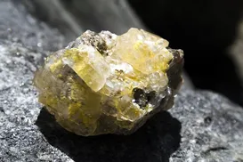 Semiárido baiano é a chave do Brasil contra o aquecimento global - Imagem