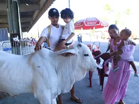 Fenagro 2025 terá lazer para a família com ingressos a partir de R$10 - Imagem