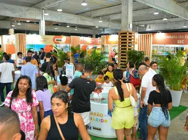 Concurso de mel, museu animal e mais: veja a programação da Fenagro - Imagem