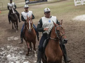 Fenagro 2025: como funciona o julgamento de raças de cavalo na feira - Imagem