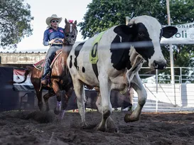 Fenagro 2025 promete superar recordes e movimentar mais de R$ 120 milhões - Imagem