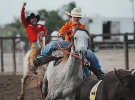 Fenagro 2025 terá competições equestres para crianças e mulheres - Imagem