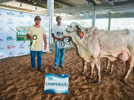 Leilões e animais de alta genética são estrelas da Fenagro 2025 - Imagem