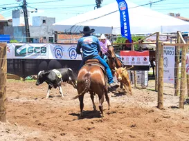 Ranch Sorting: como funciona a competição 'queridinha' da Fenagro - Imagem