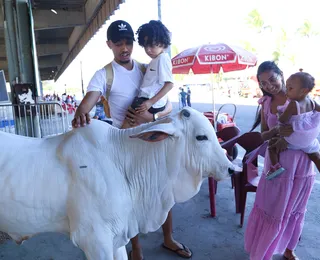 Fenagro 2025 terá lazer para a família com ingressos a partir de R$10