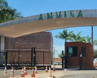 Anvisa proíbe venda de produtos de cannabis e suplementos; confira
