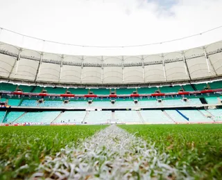 Arena Fonte Nova conclui substituição do gramado; veja fotos
