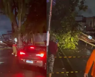 Vídeo: árvore cai sobre barraca de lanches em Salvador