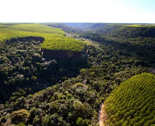 ABAF é confirmada para fazer parte da delegação brasileira na COP 30