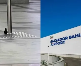 "Bomba" do aeroporto de Salvador surpreende ao revelar objeto inusitado - Imagem