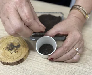 Como fazer sementeira ecológica? Saiba no Descomplicando a Sustentabilidade