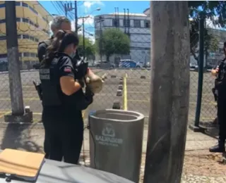 Crânio humano em lixeira no Comércio de Salvador: o que se sabe sobre o caso