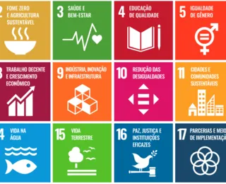Descomplicando a Sustentabilidade: como agir no dia a dia pelos ODS