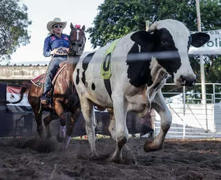 Fenagro 2025 promete superar recordes e movimentar mais de R$ 120 milhões