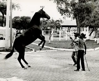 Fenagro em flashes: as curiosidades e a trajetória de 37 anos da feira