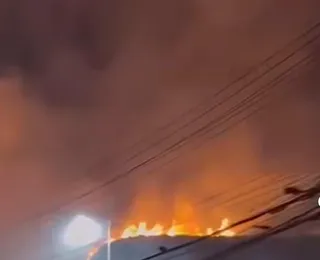 Incêndio atinge vegetação na Avenida Paralela; assista