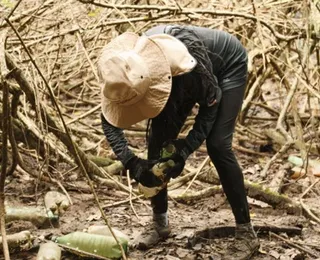 Fundação Vovó do Mangue leva 30 propostas de defesa dos manguezais à COP 30
