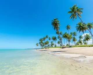 Praia do litoral do Nordeste é umas das mais preservadas do Brasil