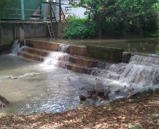 Fábrica de papel polui Rio Pitinga e compromete pesca e sustento local