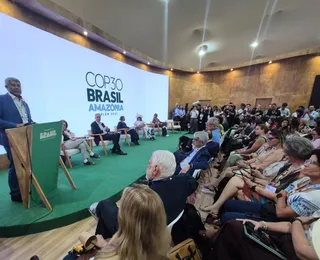 Revolução verde da Bahia: por que o estado é destaque na COP30