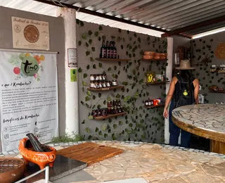 Rotas Especiais da Chapada Diamantina revelam turismo rural e experiências autênticas