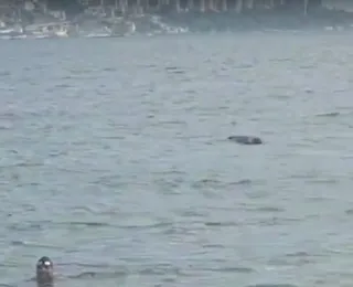 Vídeo: corpo aparece boiando em praia de Salvador