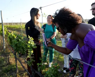 Visite Bahia: plataforma conecta turistas e empreendedores a famoso destino