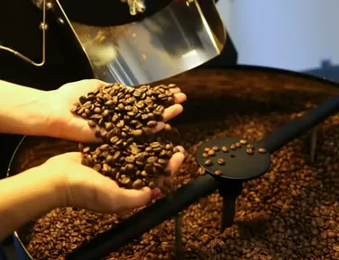 Exportadores de café dizem que redução de tarifa foi pior para Brasil - Imagem