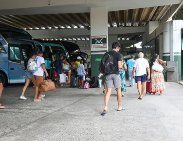 Novo RG passa a ser obrigatório para viagens de ônibus e avião - Imagem