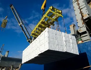 Tarifaço zero favorece agro, mas deixa indústria e pescados de fora - Imagem